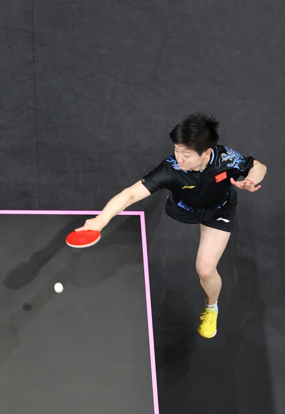 体阵容的年 体阵容的年